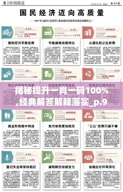 揭秘提升一肖一码100%,经典解答解释落实_p.9.592