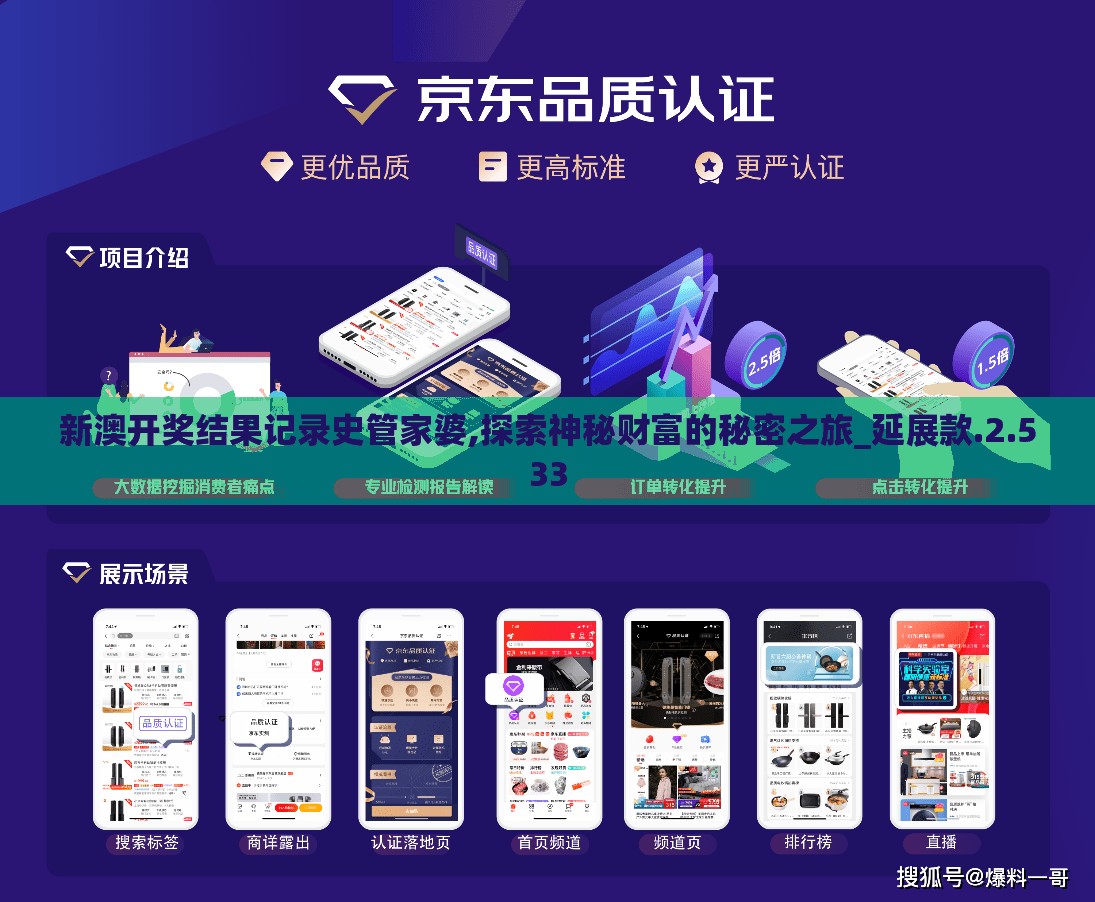 新澳开奖结果记录史管家婆,探索神秘财富的秘密之旅_延展款.2.533