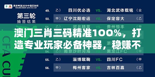 澳门三肖三码精准1OO%，打造专业玩家必备神器，稳赚不赔的好方法!
