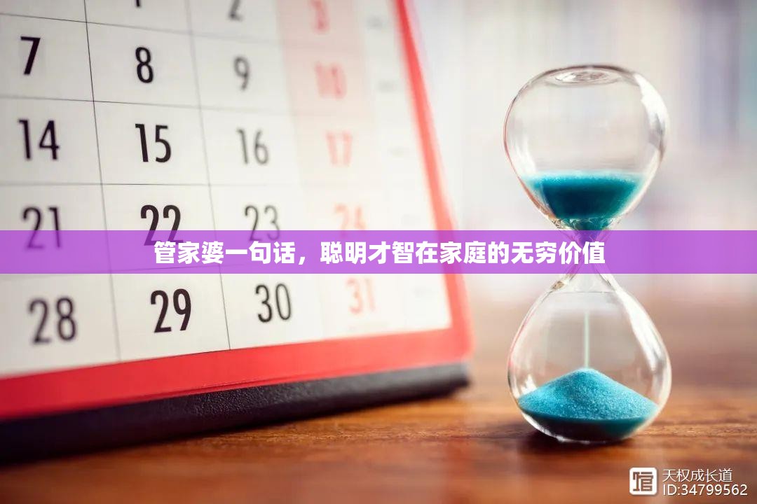 管家婆一句话，聪明才智在家庭的无穷价值