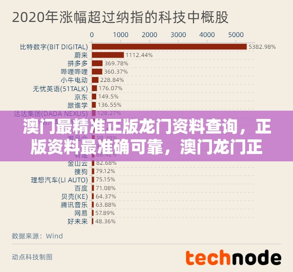 澳门最精准正版龙门资料查询，正版资料最准确可靠，澳门龙门正版数据查询。