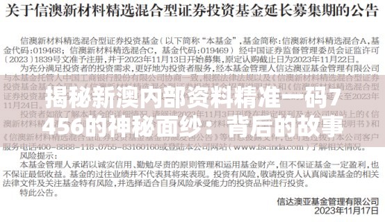 揭秘新澳内部资料精准一码7456的神秘面纱：背后的故事和影响深远的影响。