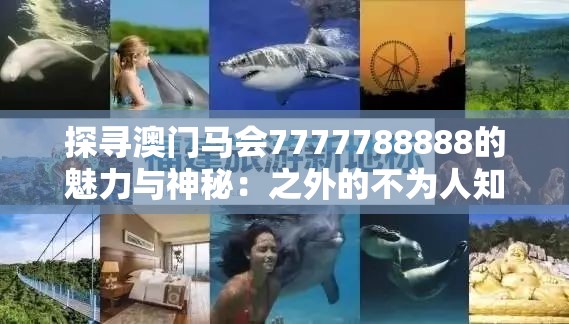 探寻澳门马会7777788888的魅力与神秘：之外的不为人知的故事和传奇经历