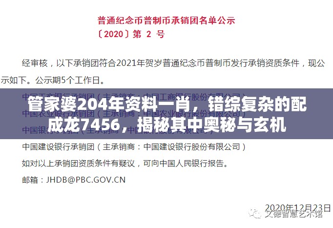 管家婆204年资料一肖，错综复杂的配成龙7456，揭秘其中奥秘与玄机