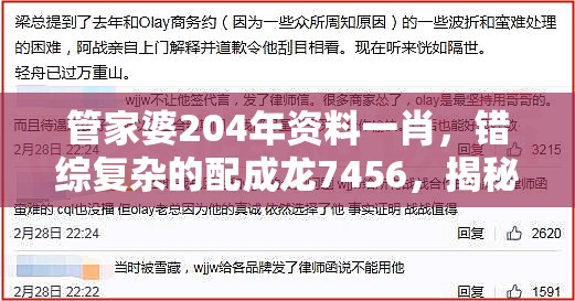 管家婆204年资料一肖，错综复杂的配成龙7456，揭秘其中奥秘与玄机