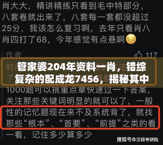 管家婆204年资料一肖，错综复杂的配成龙7456，揭秘其中奥秘与玄机