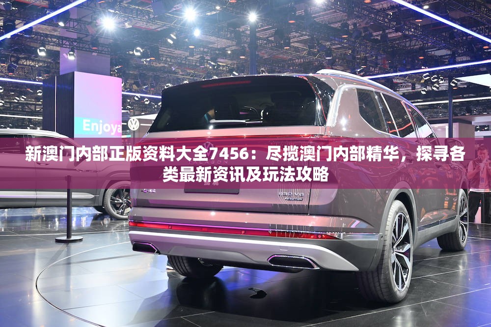 新澳门内部正版资料大全7456：尽揽澳门内部精华，探寻各类最新资讯及玩法攻略
