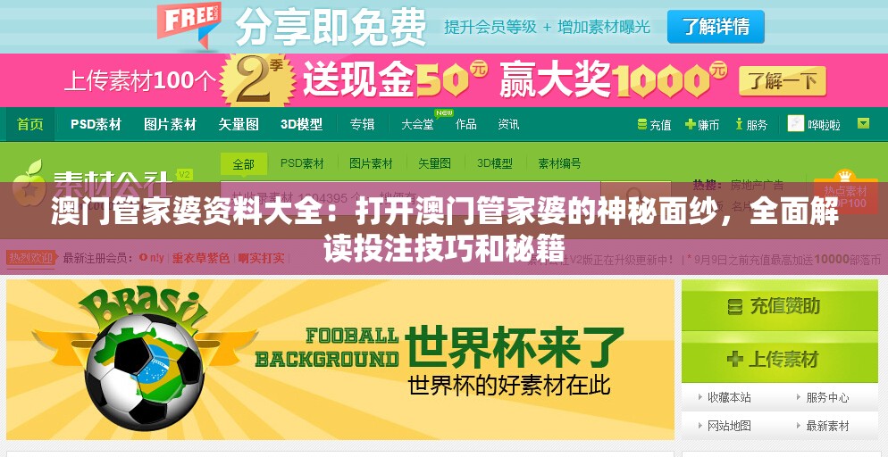 澳门管家婆资料大全：打开澳门管家婆的神秘面纱，全面解读投注技巧和秘籍