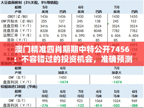 澳门精准四肖期期中特公开7456：不容错过的投资机会，准确预测未来收益