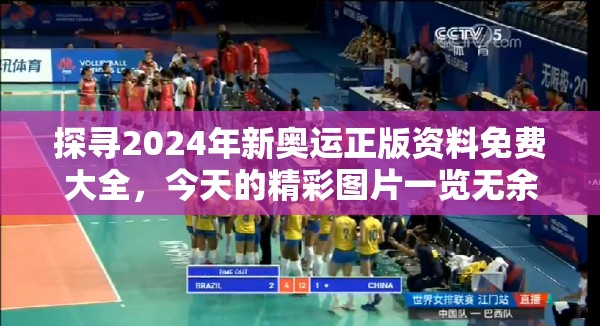 探寻2024年新奥运正版资料免费大全，今天的精彩图片一览无余