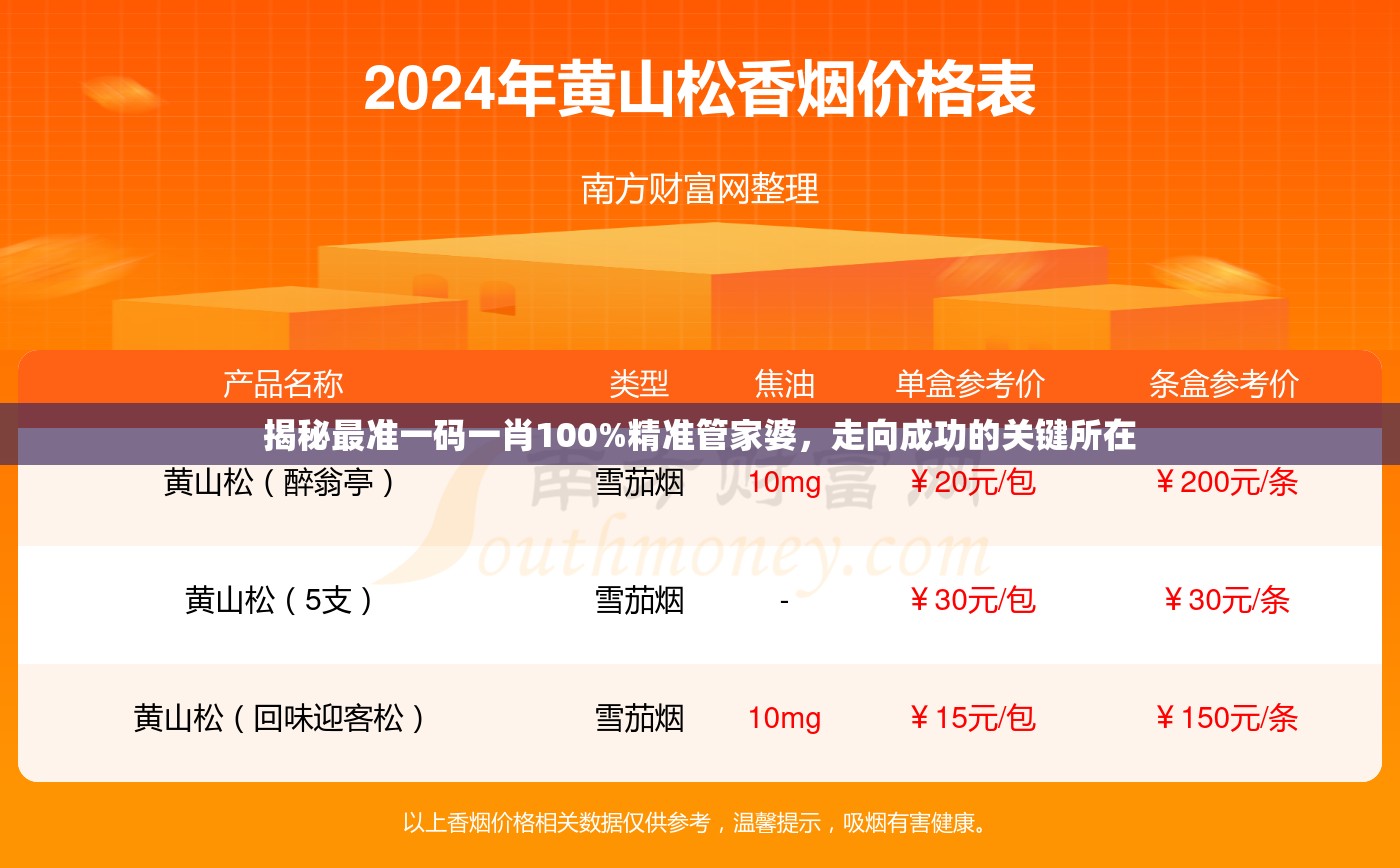 揭秘最准一码一肖100%精准管家婆，走向成功的关键所在