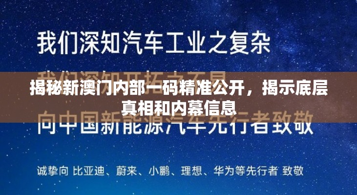 揭秘新澳门内部一码精准公开，揭示底层真相和内幕信息