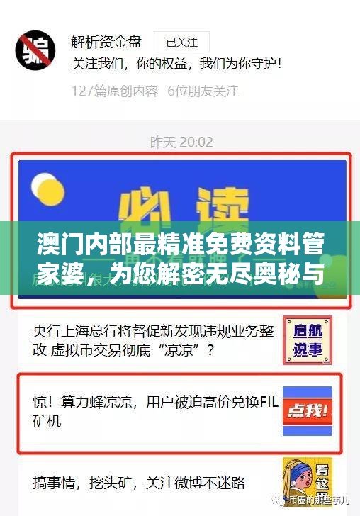 澳门内部最精准免费资料管家婆，为您解密无尽奥秘与赢利技巧