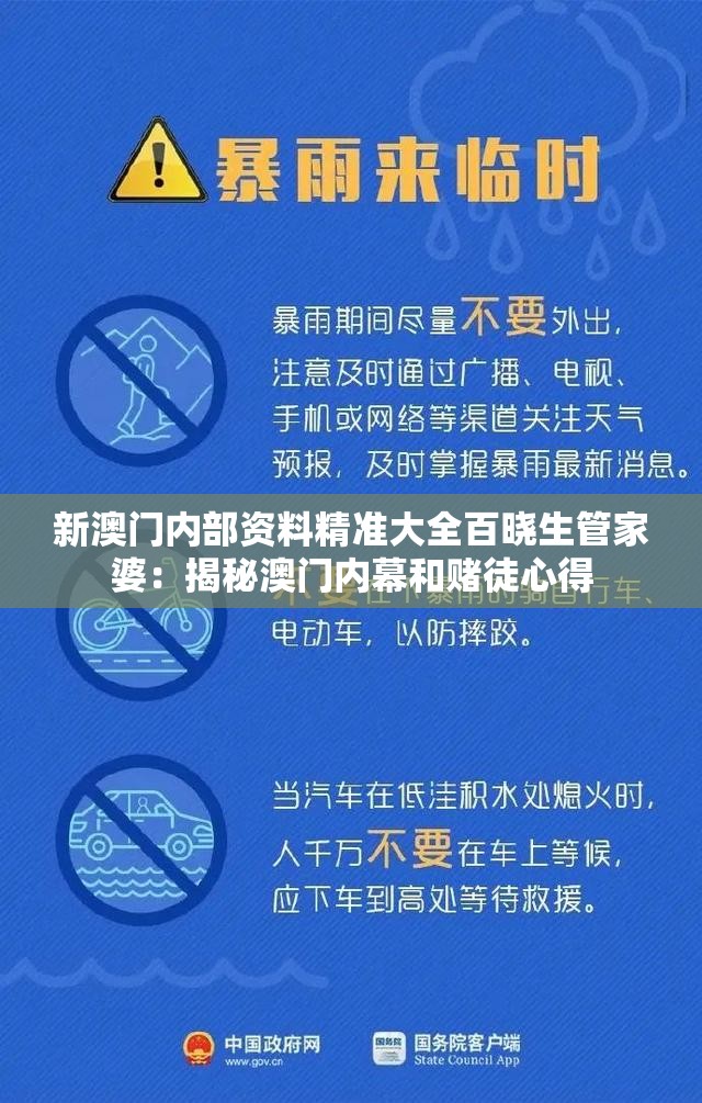 新澳门内部资料精准大全百晓生管家婆：揭秘澳门内幕和赌徒心得