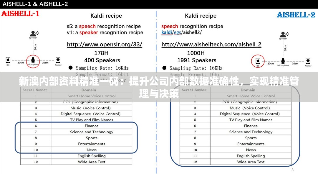 新澳内部资料精准一码：提升公司内部数据准确性，实现精准管理与决策