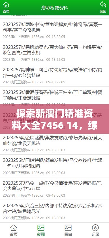 探索新澳门精准资料大全7456 14，综合林林总总的信息全方位解读
