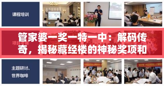 管家婆一奖一特一中：解码传奇，揭秘藏经楼的神秘奖项和独特能力