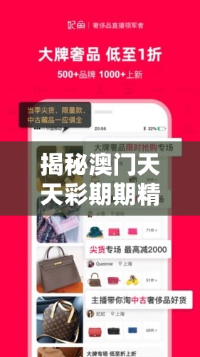 揭秘澳门天天彩期期精准管家婆的成功秘诀和独特策略