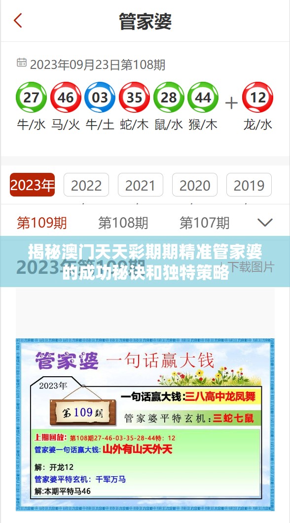 揭秘澳门天天彩期期精准管家婆的成功秘诀和独特策略