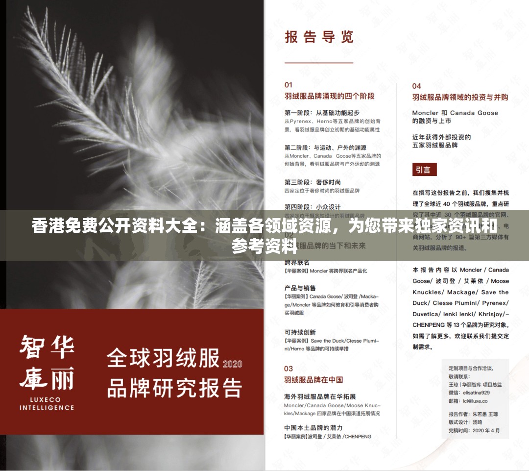 香港免费公开资料大全：涵盖各领域资源，为您带来独家资讯和参考资料
