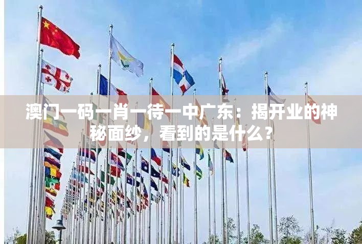 澳门一码一肖一待一中广东：揭开业的神秘面纱，看到的是什么？