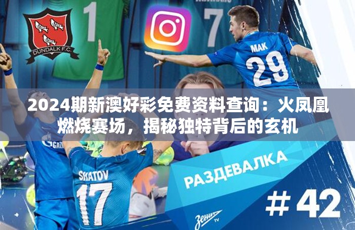 2024期新澳好彩免费资料查询：火凤凰燃烧赛场，揭秘独特背后的玄机
