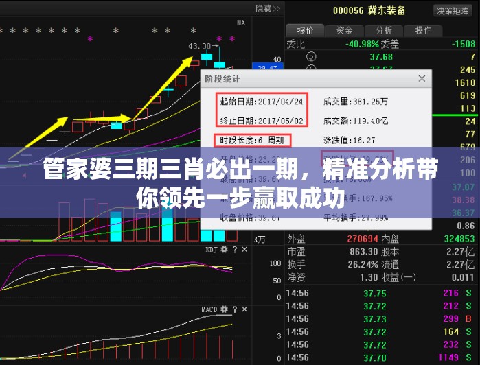 管家婆三期三肖必出一期，精准分析带你领先一步赢取成功