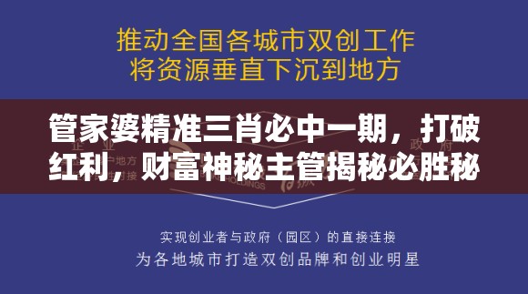 管家婆精准三肖必中一期，打破红利，财富神秘主管揭秘必胜秘籍