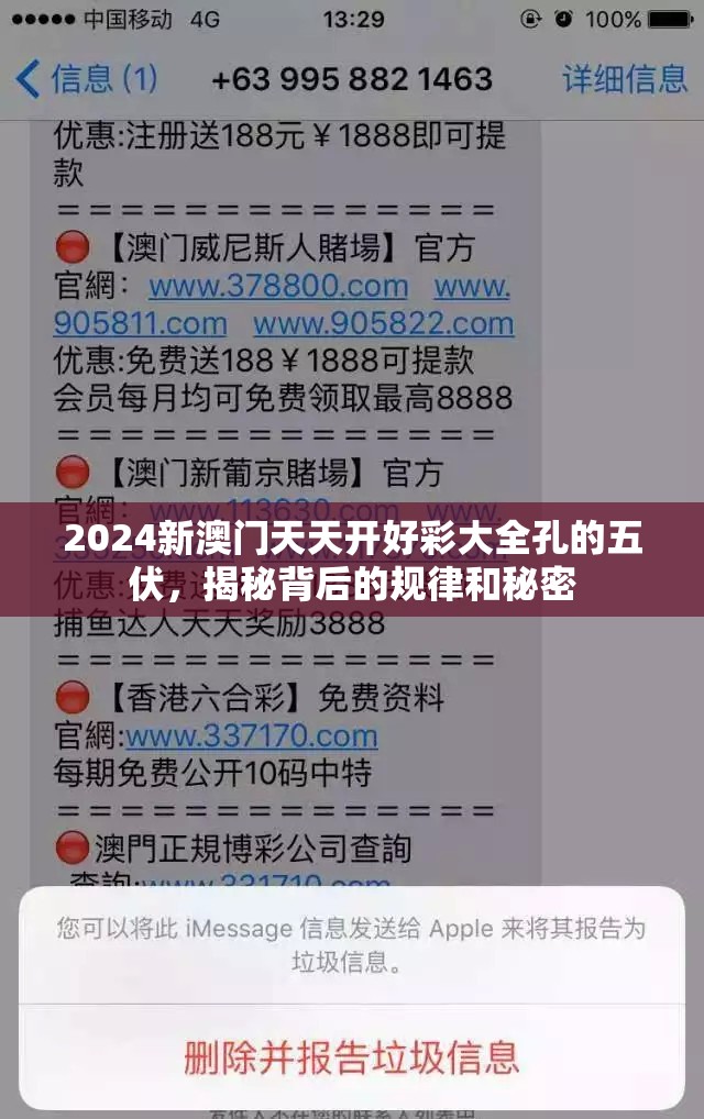 2024新澳门天天开好彩大全孔的五伏，揭秘背后的规律和秘密