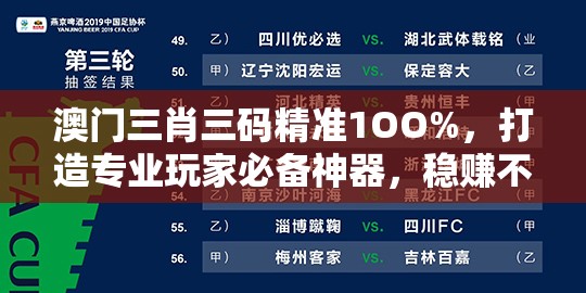 澳门三肖三码精准1OO%，打造专业玩家必备神器，稳赚不赔的好方法!