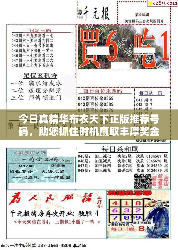 今日真精华布衣天下正版推荐号码，助您抓住时机赢取丰厚奖金