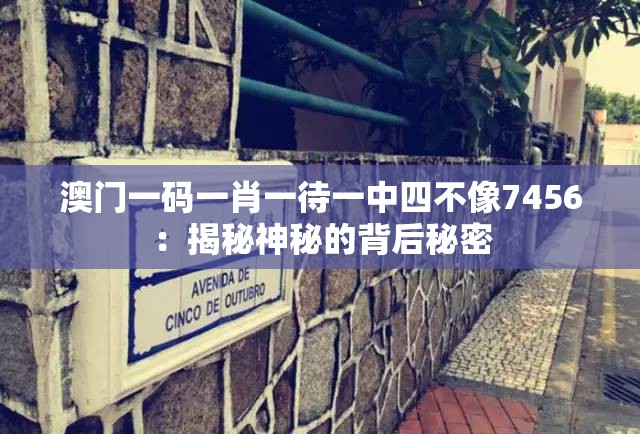 澳门一码一肖一待一中四不像7456：揭秘神秘的背后秘密