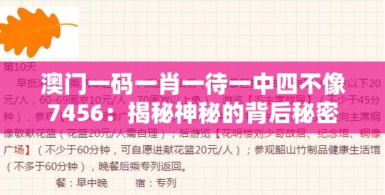 澳门一码一肖一待一中四不像7456：揭秘神秘的背后秘密