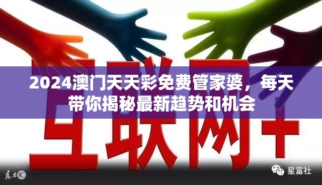 2024澳门天天彩免费管家婆，每天带你揭秘最新趋势和机会