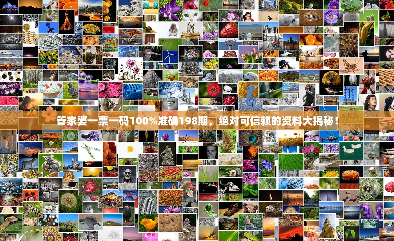管家婆一票一码100%准确198期，绝对可信赖的资料大揭秘！