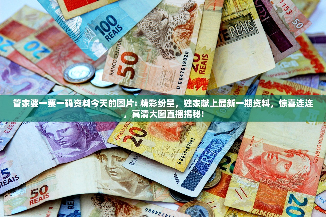 管家婆一票一码资料今天的图片: 精彩纷呈，独家献上最新一期资料，惊喜连连，高清大图直播揭秘!