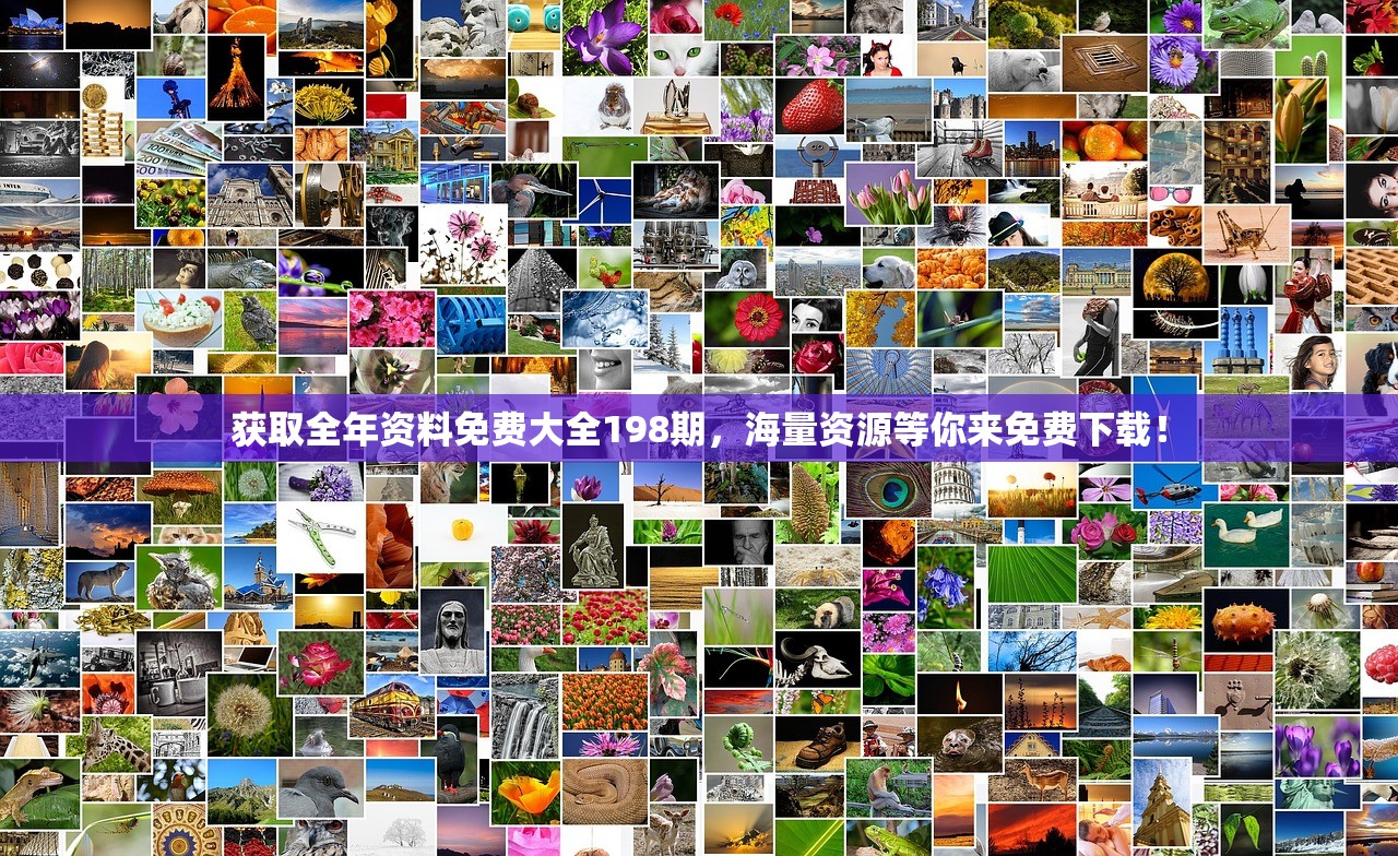 获取全年资料免费大全198期，海量资源等你来免费下载！