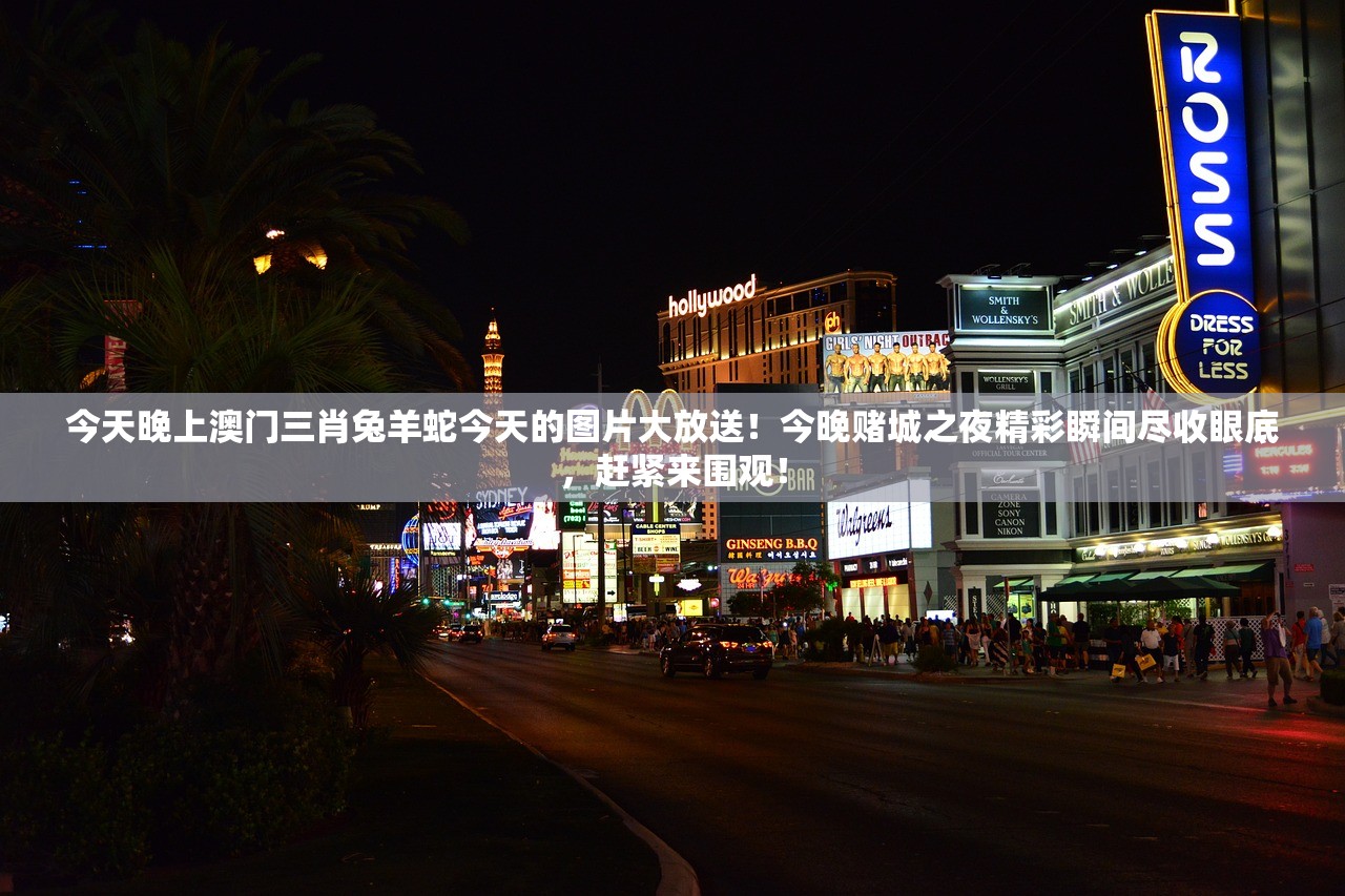 今天晚上澳门三肖兔羊蛇今天的图片大放送！今晚赌城之夜精彩瞬间尽收眼底，赶紧来围观！