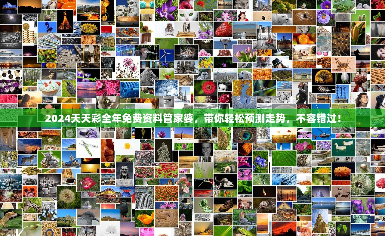 2024天天彩全年免费资料管家婆，带你轻松预测走势，不容错过！