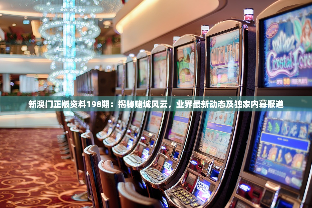新澳门正版资料198期：揭秘赌城风云，业界最新动态及独家内幕报道