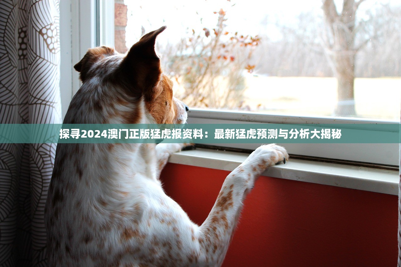 探寻2024澳门正版猛虎报资料：最新猛虎预测与分析大揭秘