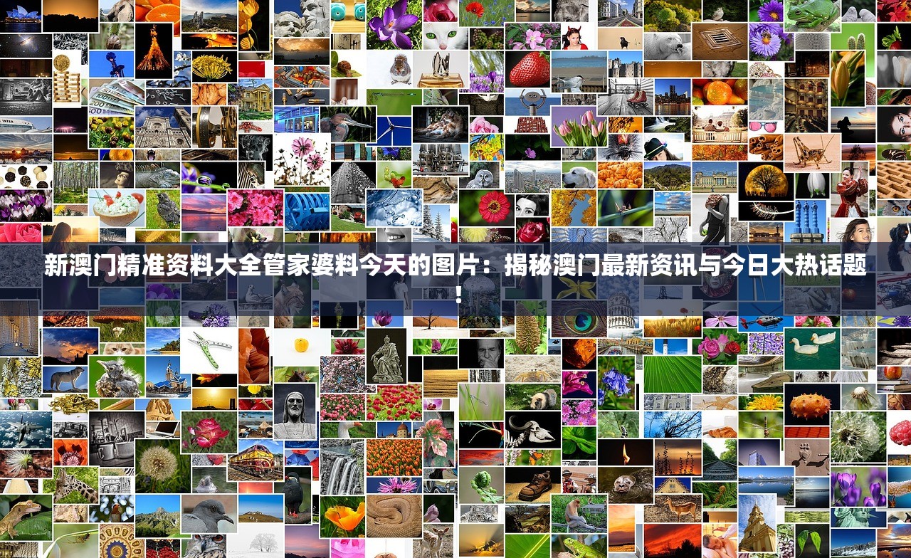 新澳门精准资料大全管家婆料今天的图片：揭秘澳门最新资讯与今日大热话题！