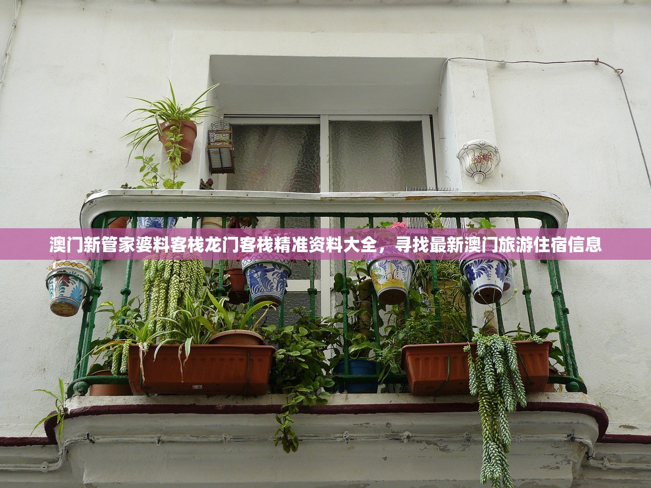 澳门新管家婆料客栈龙门客栈精准资料大全，寻找最新澳门旅游住宿信息
