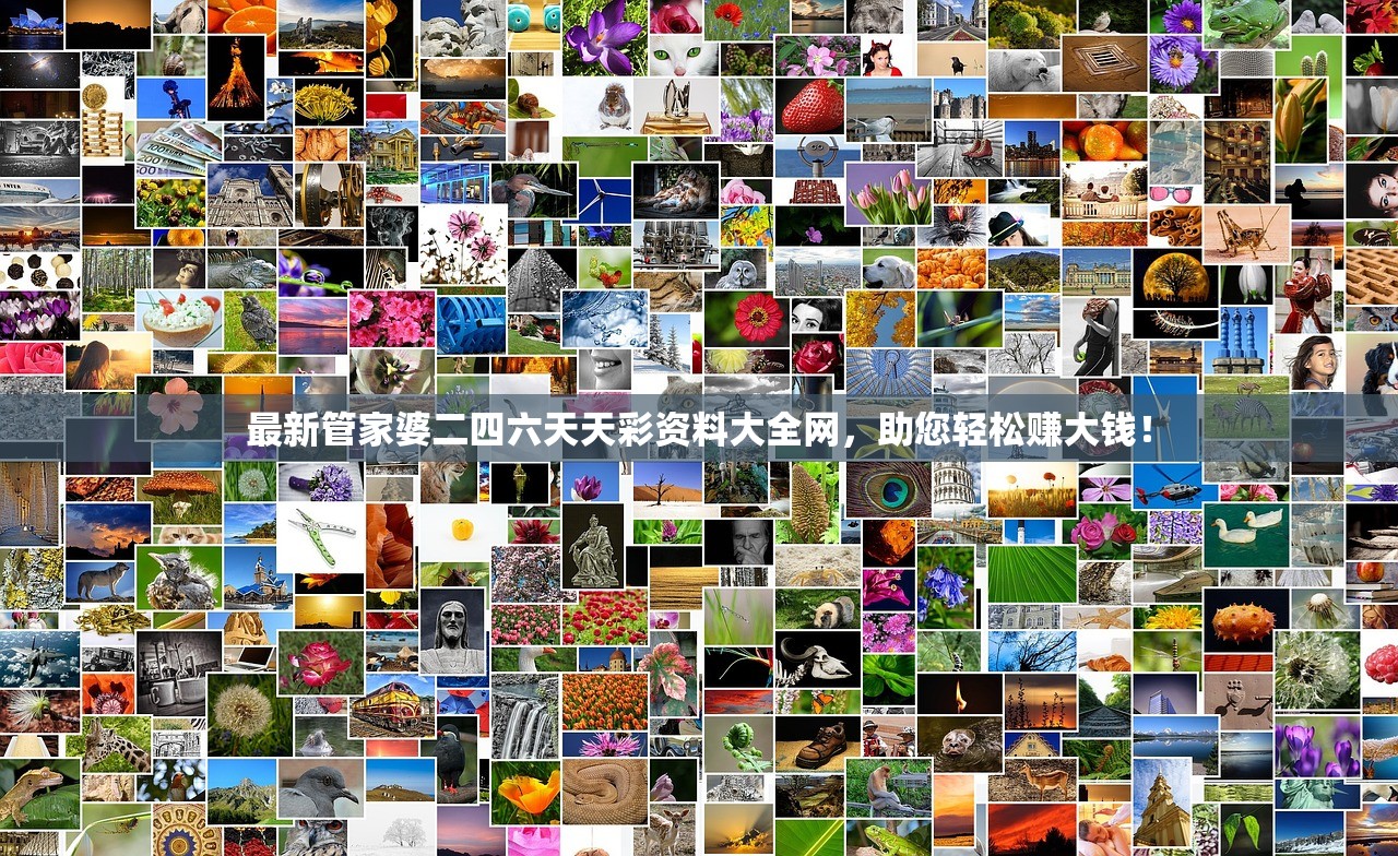 最新管家婆二四六天天彩资料大全网，助您轻松赚大钱！