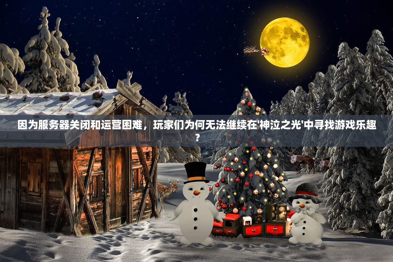 因为服务器关闭和运营困难，玩家们为何无法继续在'神泣之光'中寻找游戏乐趣？