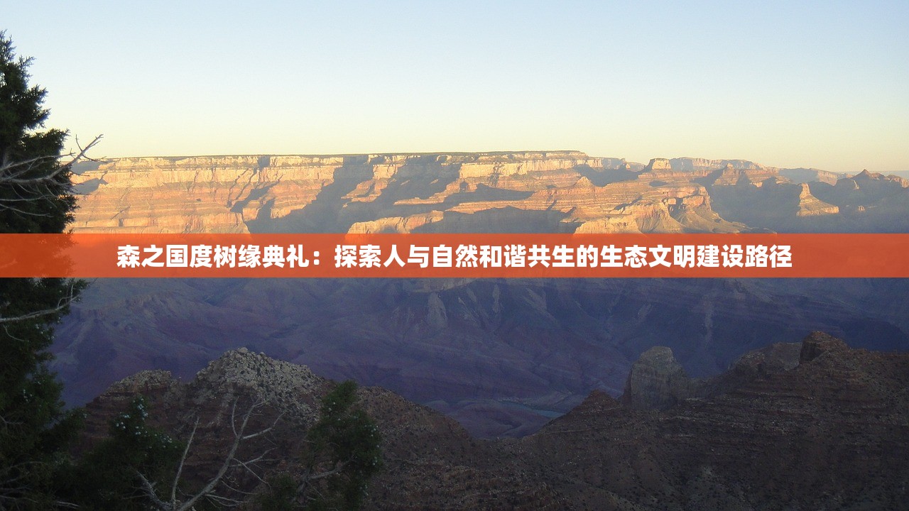 森之国度树缘典礼：探索人与自然和谐共生的生态文明建设路径