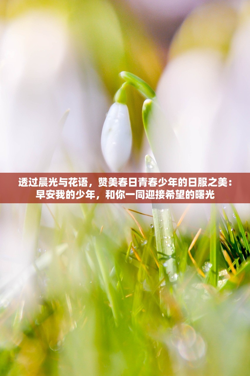透过晨光与花语，赞美春日青春少年的日服之美：早安我的少年，和你一同迎接希望的曙光