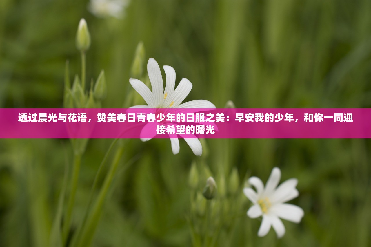 透过晨光与花语，赞美春日青春少年的日服之美：早安我的少年，和你一同迎接希望的曙光