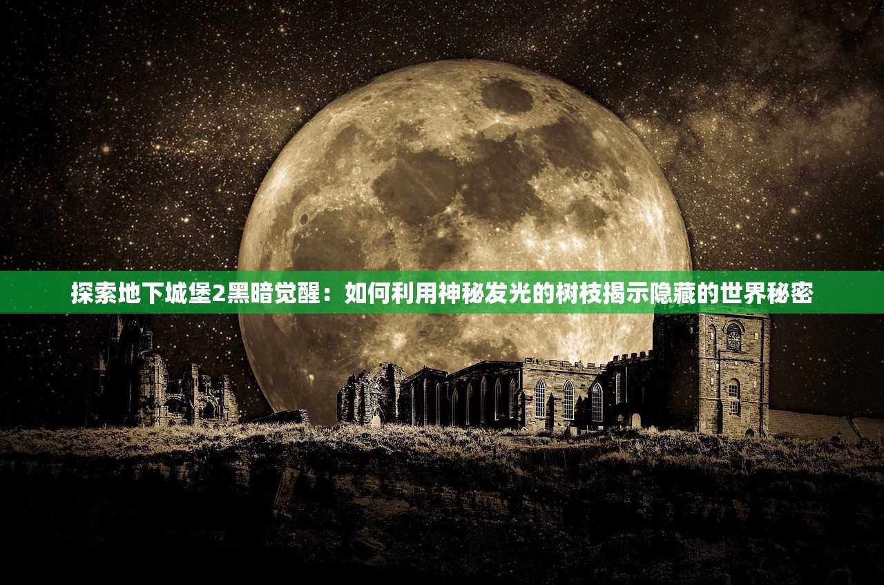 探索地下城堡2黑暗觉醒：如何利用神秘发光的树枝揭示隐藏的世界秘密