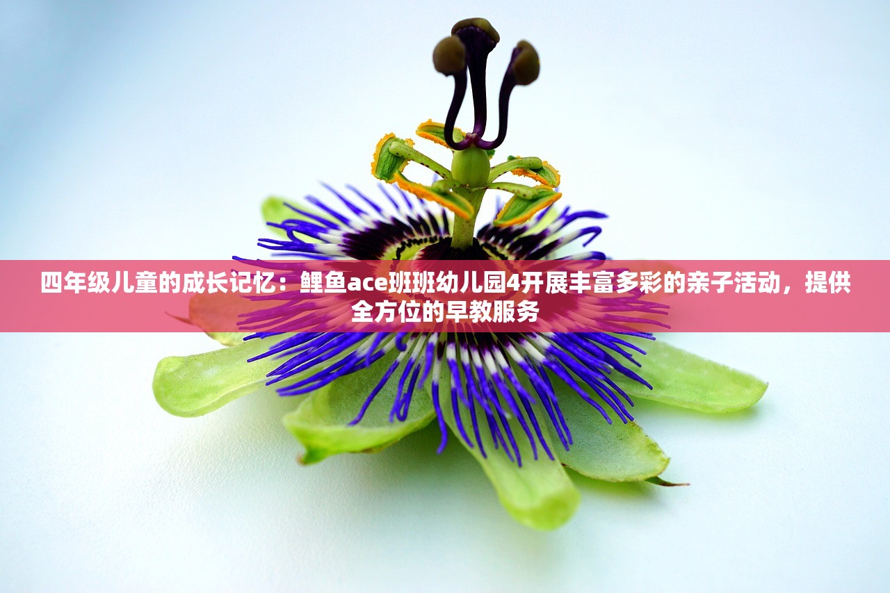 四年级儿童的成长记忆：鲤鱼ace班班幼儿园4开展丰富多彩的亲子活动，提供全方位的早教服务